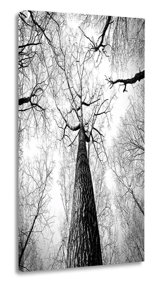 obraz-drzewo-30x60