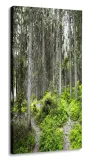 obraz-las-30x60