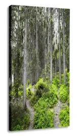 obraz-las-30x60