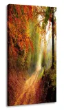 obraz-las-jesien-30x60
