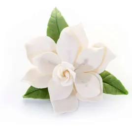 zapach-dzungla-gardenii-jungle-gardenia-10ml