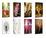 obraz-most-30x60-stan-nowy
