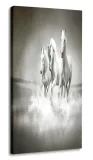 obraz-konie-30x60