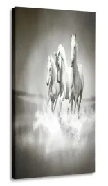obraz-konie-30x60