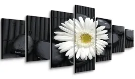 obraz-do-salonu-bialy-kwiat-210x100-wielki