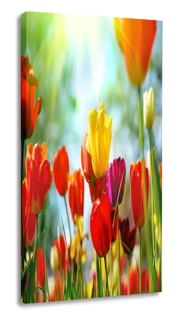 obraz-tulipany-30x60