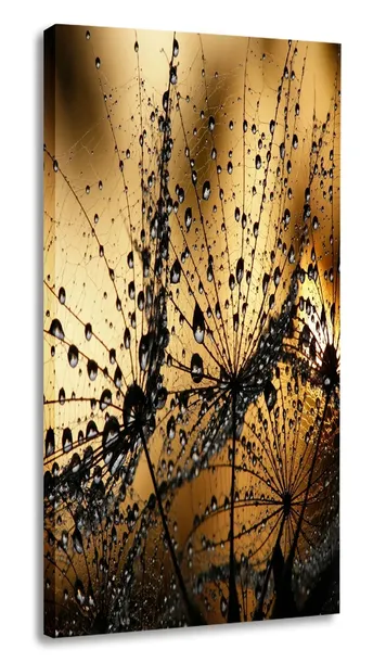 obraz-krople-kwiat-30x60