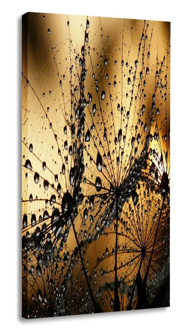 obraz-krople-kwiat-30x60