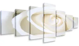 obraz-do-salonu-kremowa-roza-210x100-wielki