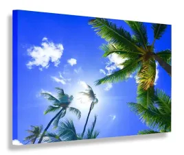 obraz-palmy-tropikalna-wyspa-obrazy-canvas-40x30