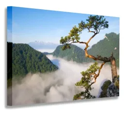 obraz-pieniny-sokolica-40x30-obrazy-na-plotnie