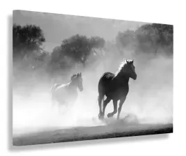 obraz-konie-kon-galop-obrazy-canvas-60x40