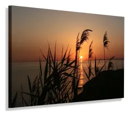 obraz-trzciny-jezioro-obrazy-canvas-60x40