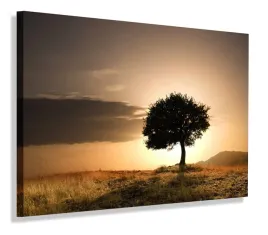 obraz-zachod-slonca-drzewo-obrazy-canvas-60x40