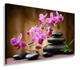 obraz-spa-kamienie-storczyki-obrazy-canvas-100x70