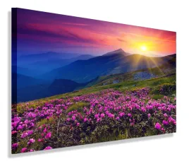 obraz-pejzaz-krajobraz-zachod-obrazy-canvas-100x70