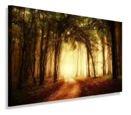obraz-las-promienie-slonca-obrazy-canvas-100x70