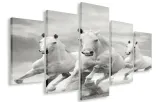 obraz-obrazy-kon-konie-125x70-plotno