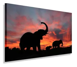 obraz-slonie-slon-afryka-obrazy-canvas-100x70