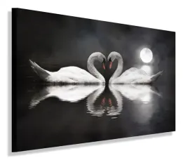 obraz-dwa-labedzie-ksiezyc-obrazy-canvas-100x70