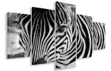 obraz-obrazy-zebra-125x70-plotno