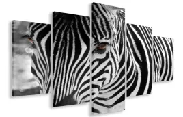 obraz-obrazy-zebra-125x70-plotno