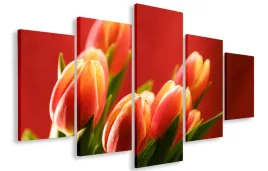 obraz-obrazy-kwiaty-125x70-plotno