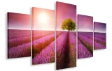 obraz-obrazy-lawendowe-pole-125x70-plotno