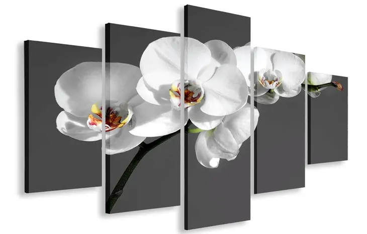 obraz-obrazy-storczyk-bialy-125x70-plotno