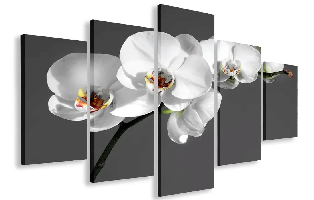 obraz-obrazy-storczyk-bialy-125x70-plotno