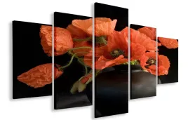 obraz-obrazy-maki-125x70-plotno