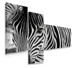 obraz-tryptyk-110x80-zebra-nowoczesny