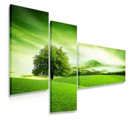 obraz-tryptyk-110x80-zielone-pole-nowoczesny