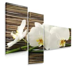 obraz-tryptyk-110x80-orchidea-bambusy-nowoczesny