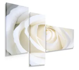 obraz-tryptyk-110x80-kremowa-roza-nowoczesny