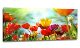 obraz-led-pilot-130x55-kolorowe-tulipany