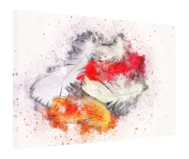 obraz-130x90-piora-pioro
