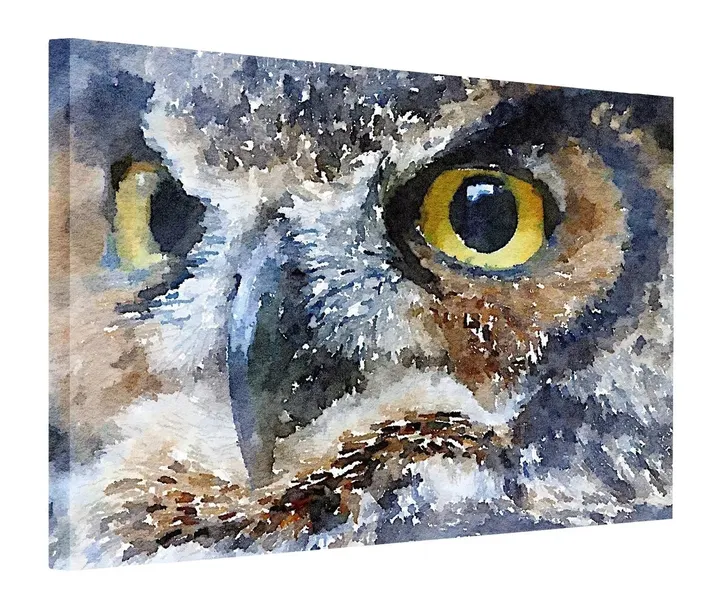 obraz-130x90-sowa