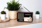 radio-pr-951-kolor-inny