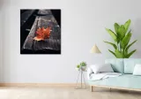 obraz-90x100cm-pojedynczy-lisc-stan-nowy