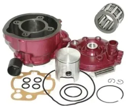 90-cylinder-glowica-lozysko-rieju-mrx50-mrx-50-am6