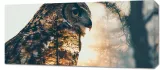 obraz-90x40cm-sowi-duch