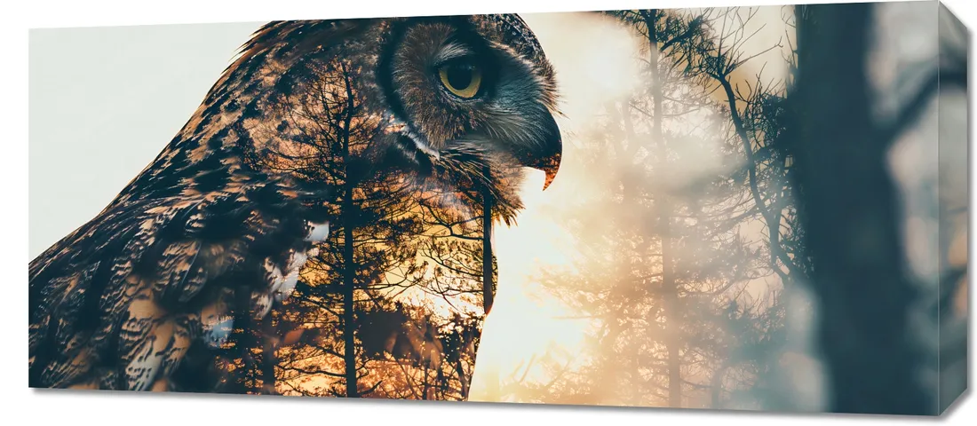 obraz-90x40cm-sowi-duch-stan-nowy
