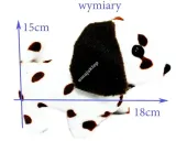 piesek-interaktywny-dalmatynczyk-w-kropki-wiek-dziecka-3-lata