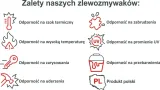 caro-10-08-i-gat-ksztalt-prostokatny