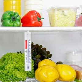 termometr-do-zamrazarki-lodowki-termometr-analog