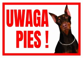 uwaga-pies-doberman-tabliczka-ostrzegawcza
