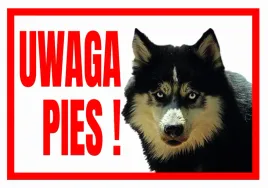 uwaga-pies-husky-tabliczka-ostrzegawcza