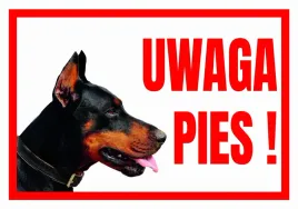 uwaga-pies-doberman-tabliczka-ostrzegawcza