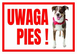 uwaga-pies-terrier-tabliczka-ostrzegawcza